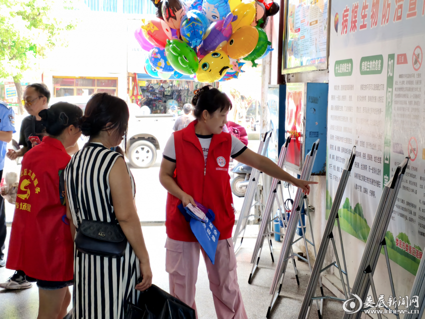 图片1