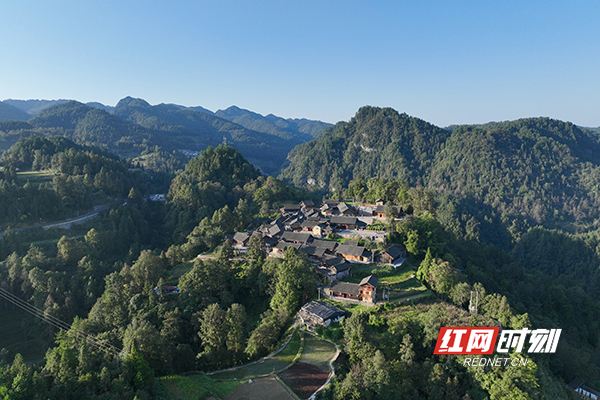 WechatIMG22.jpg WechatIMG22.jpg