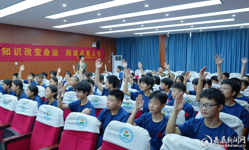 图片4