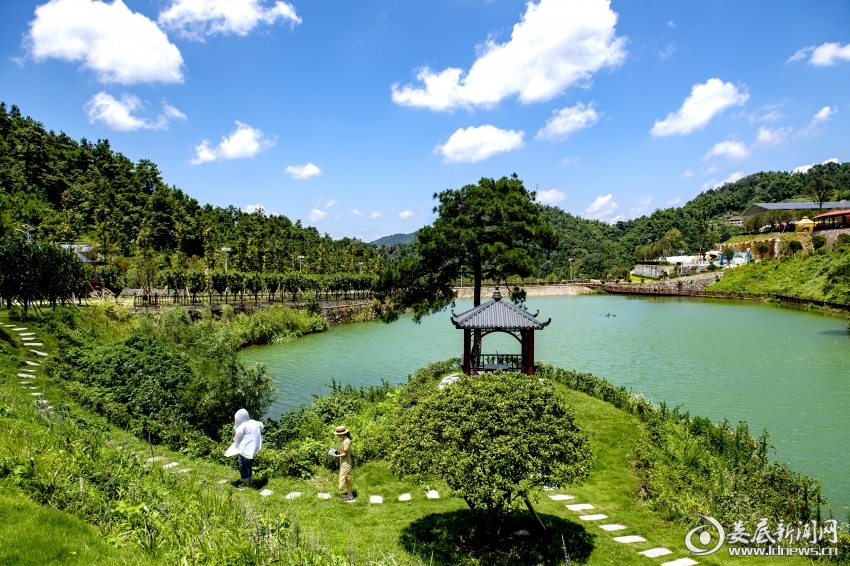 content_63b57397ded4d
