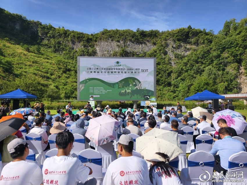QQ图片20240719143416