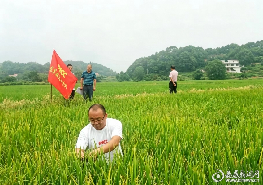 微信图片_20260729134725_1879_49