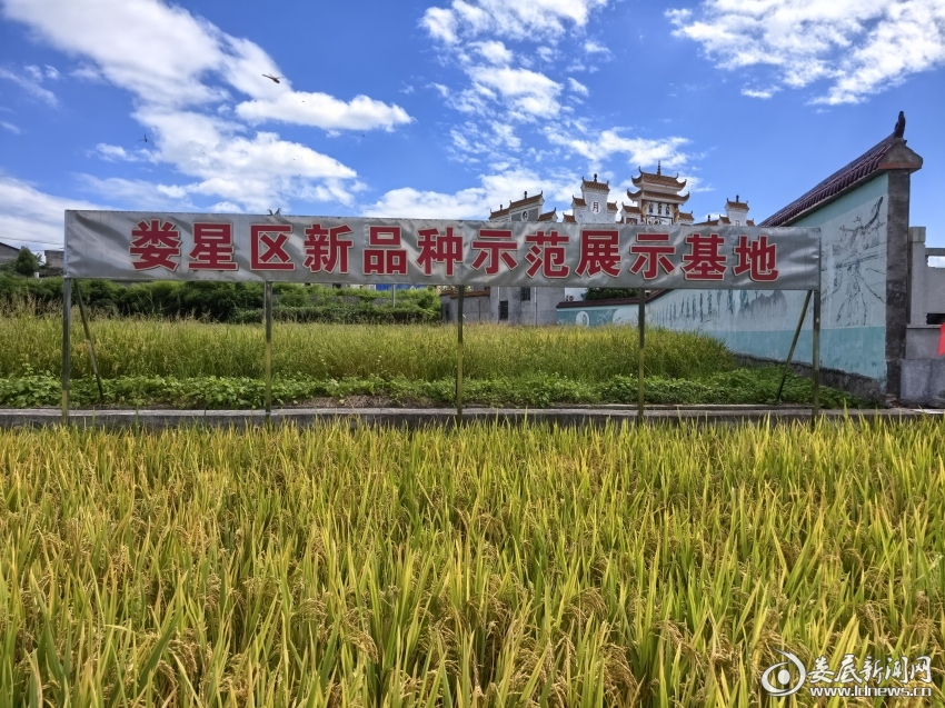 微信图片_20260715174927_45_22