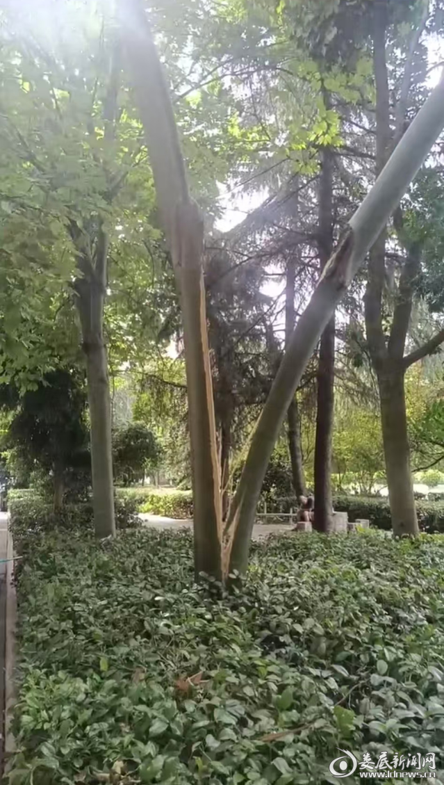 图片6