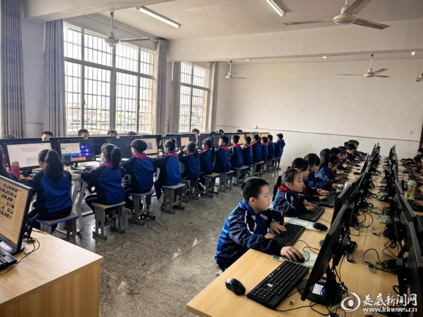 图片1