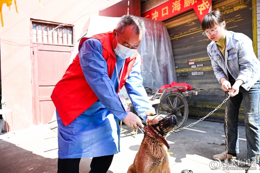 微信图片_20250320112941